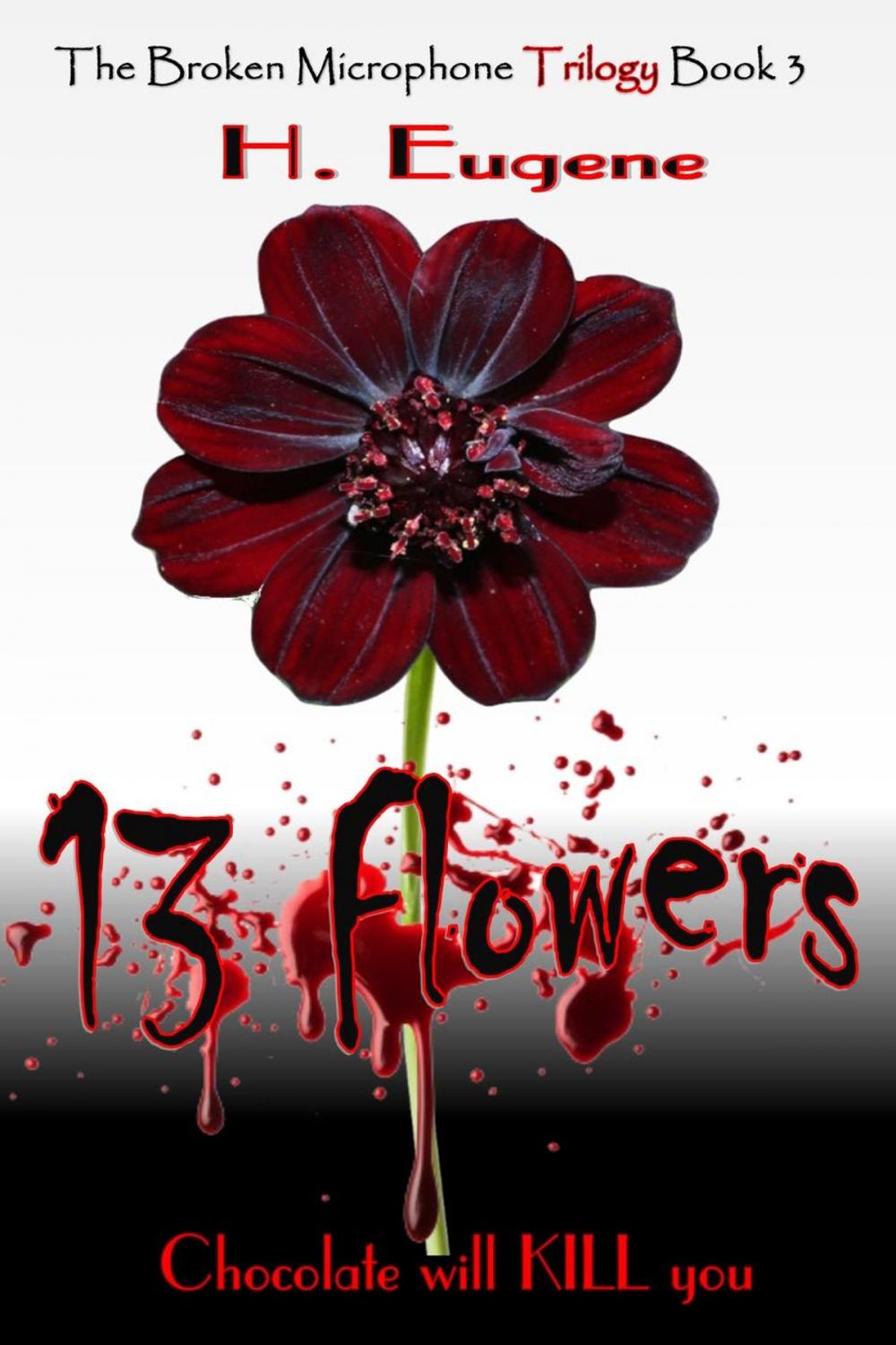 Big bigCover of 13 Flowers