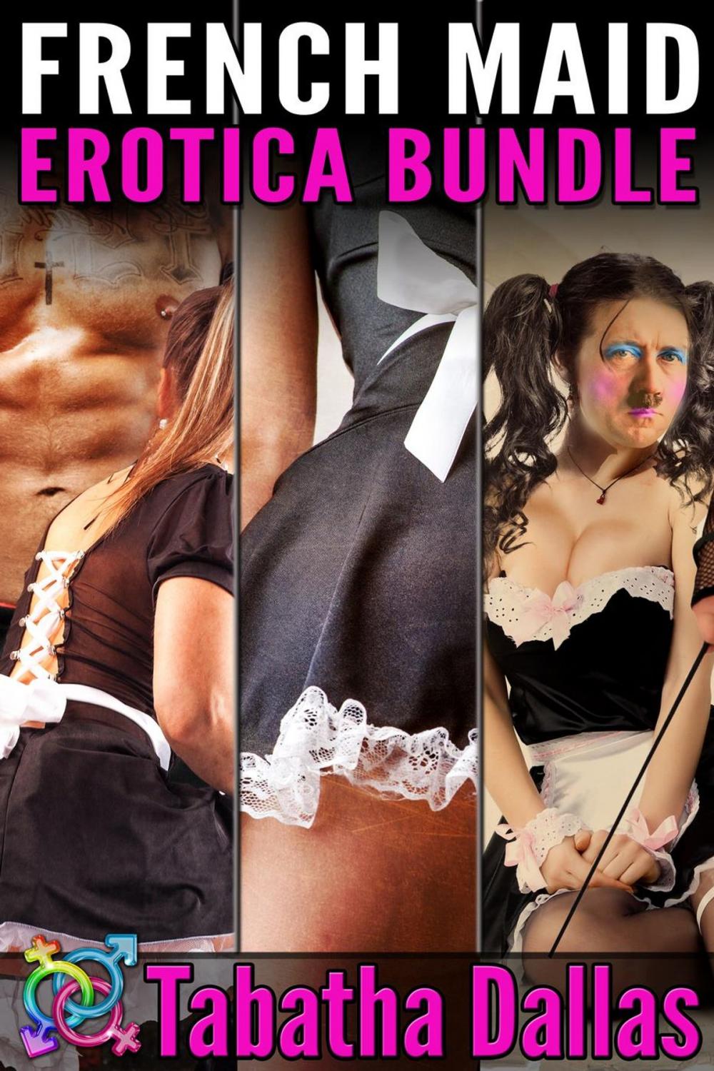 Big bigCover of French Maid Erotica Bundle