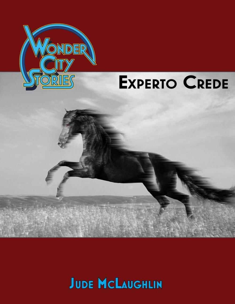 Big bigCover of Experto Crede