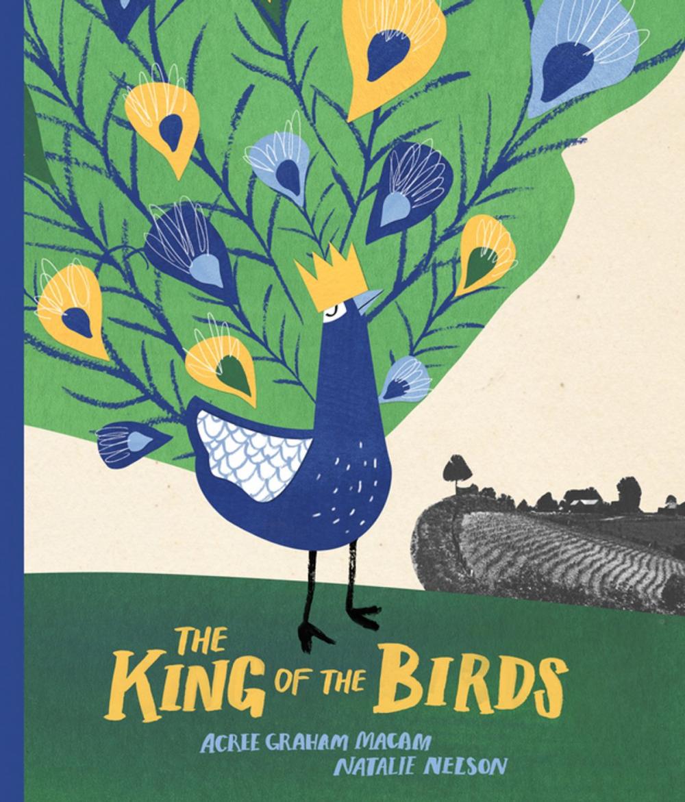 Big bigCover of The King of the Birds