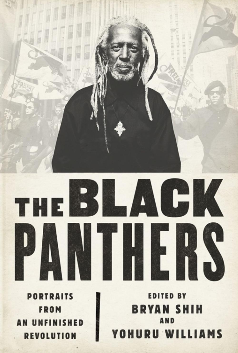 Big bigCover of The Black Panthers