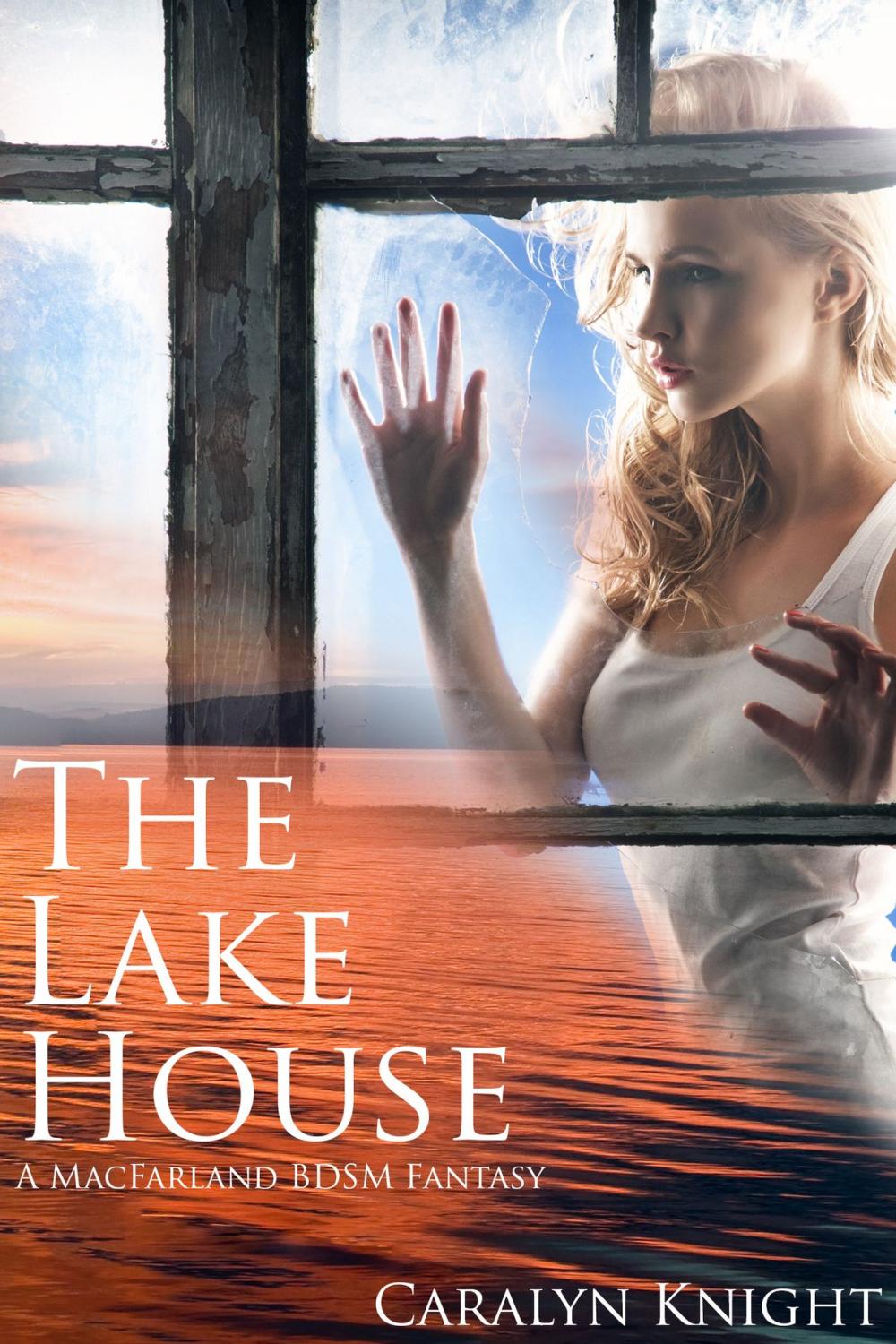 Big bigCover of The Lake House