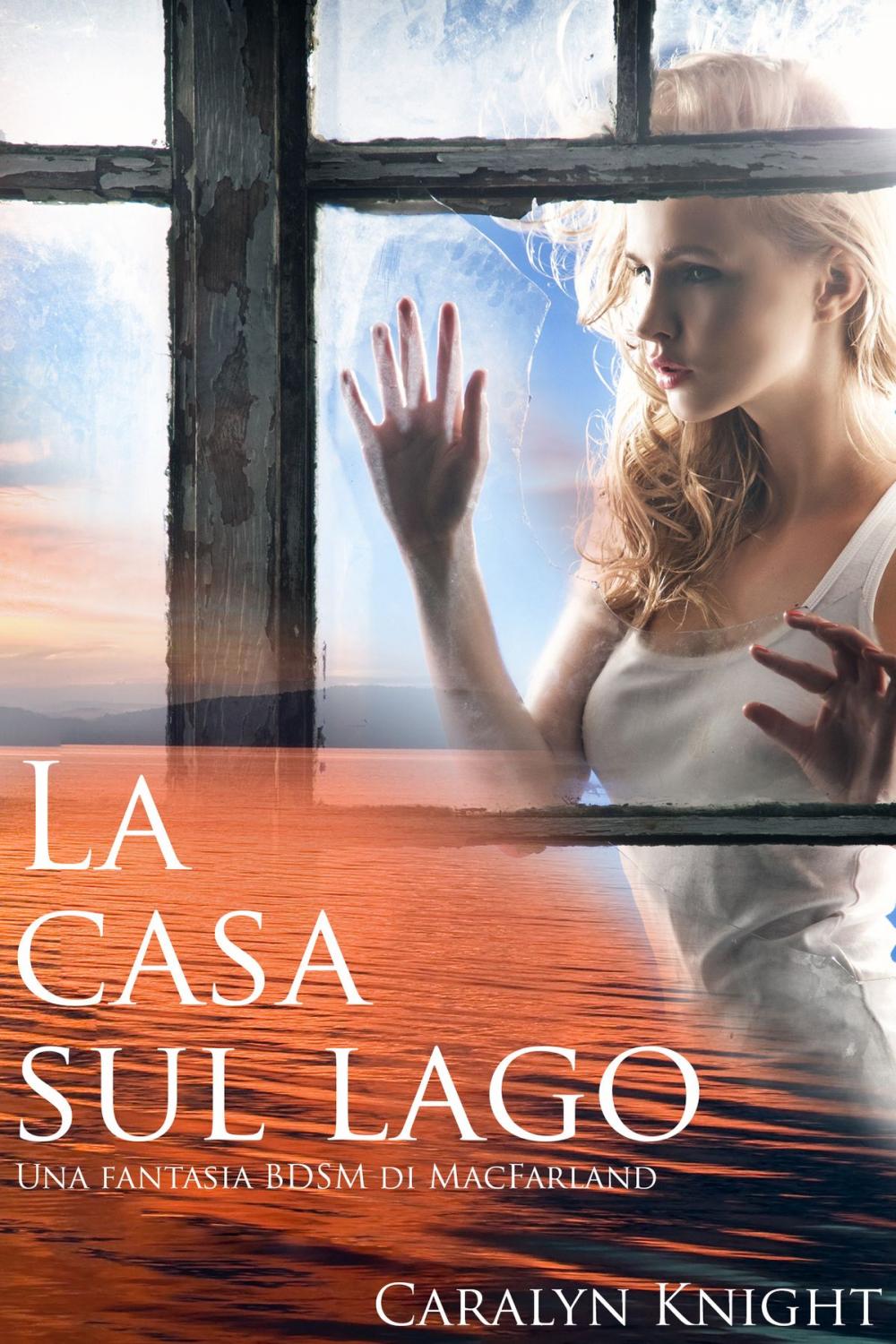 Big bigCover of La casa sul lago