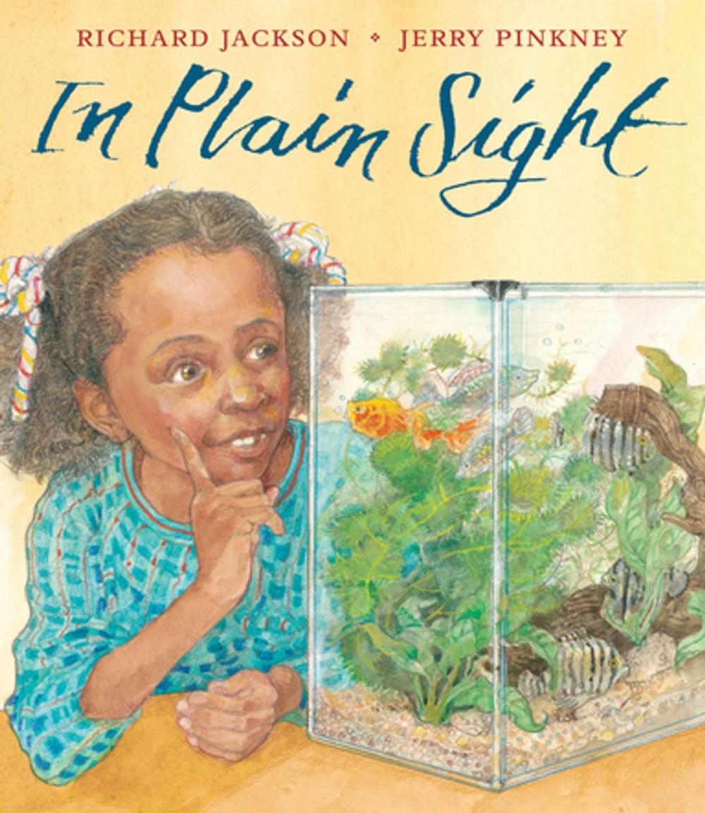 Big bigCover of In Plain Sight