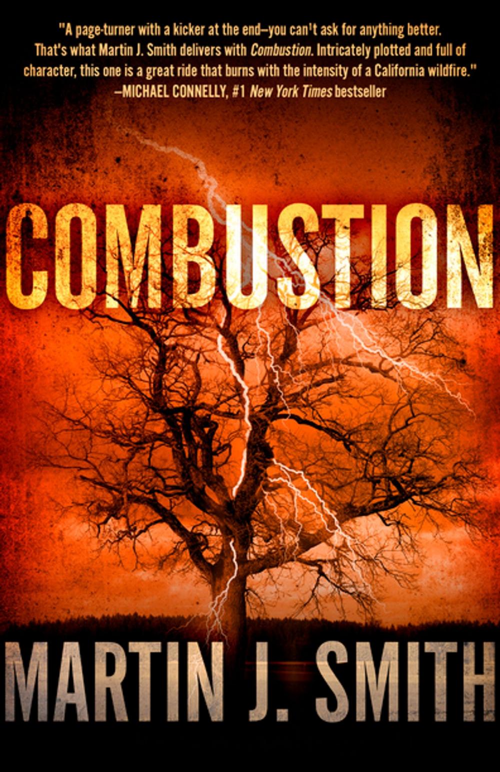 Big bigCover of Combustion