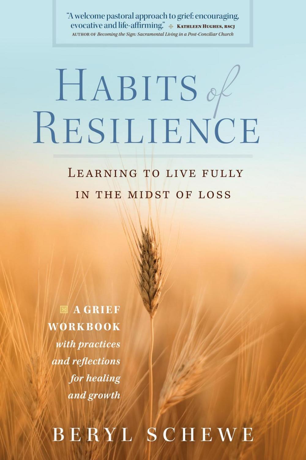 Big bigCover of Habits of Resilience