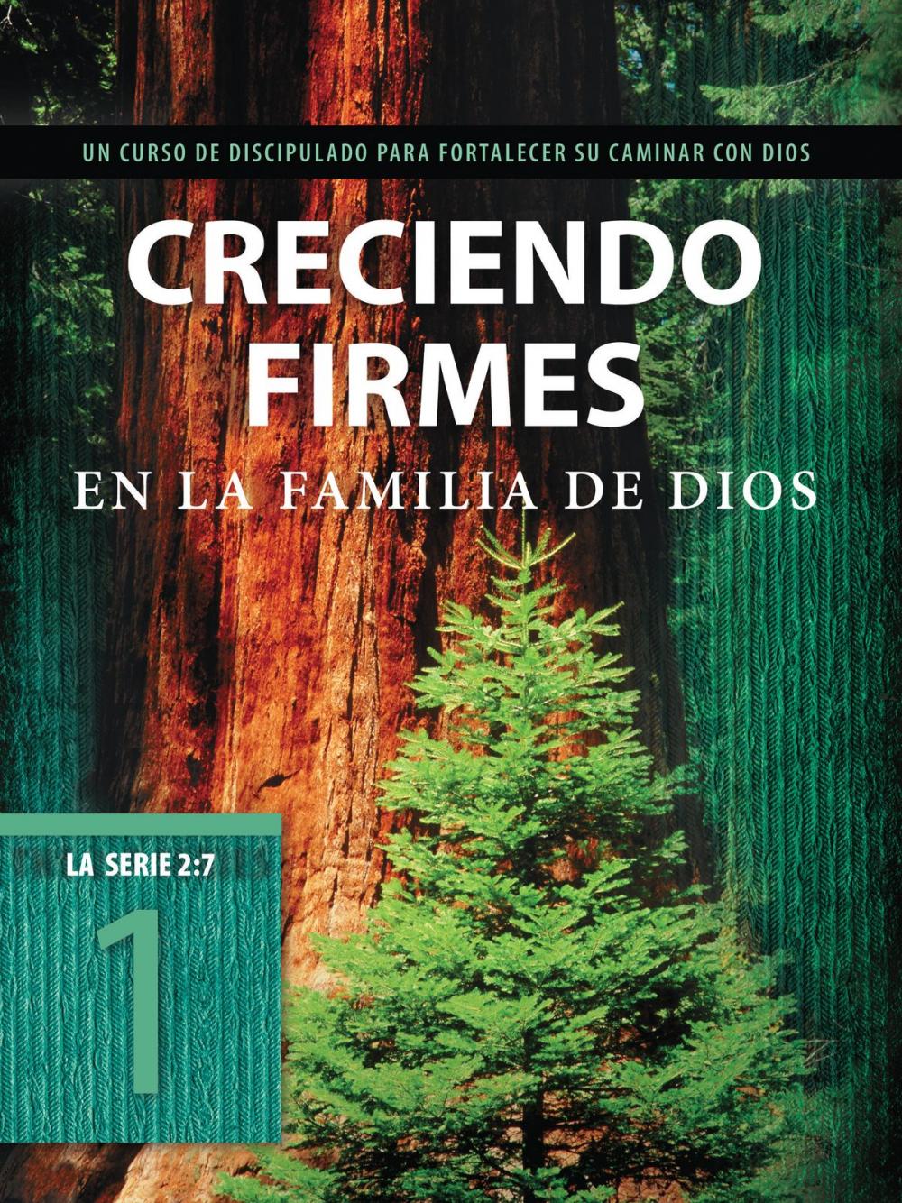 Big bigCover of Creciendo firmes en la familia de Dios