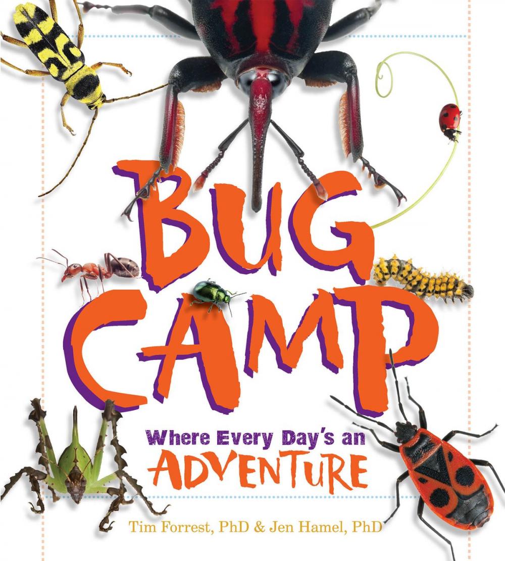 Big bigCover of Bug Camp