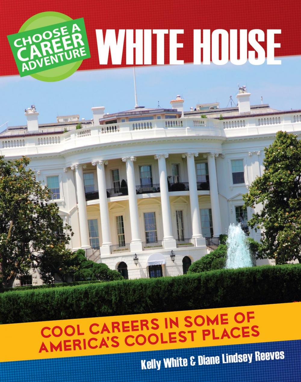 Big bigCover of Choose Your Own Career Adventure at the White House