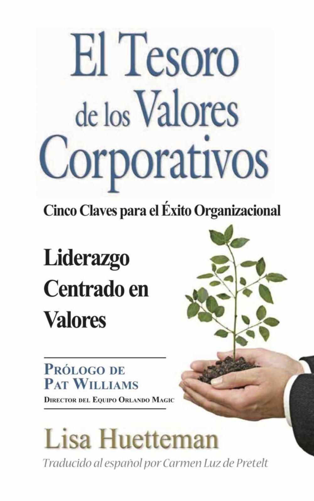 Big bigCover of El Tesoro de los Valores Corporativos