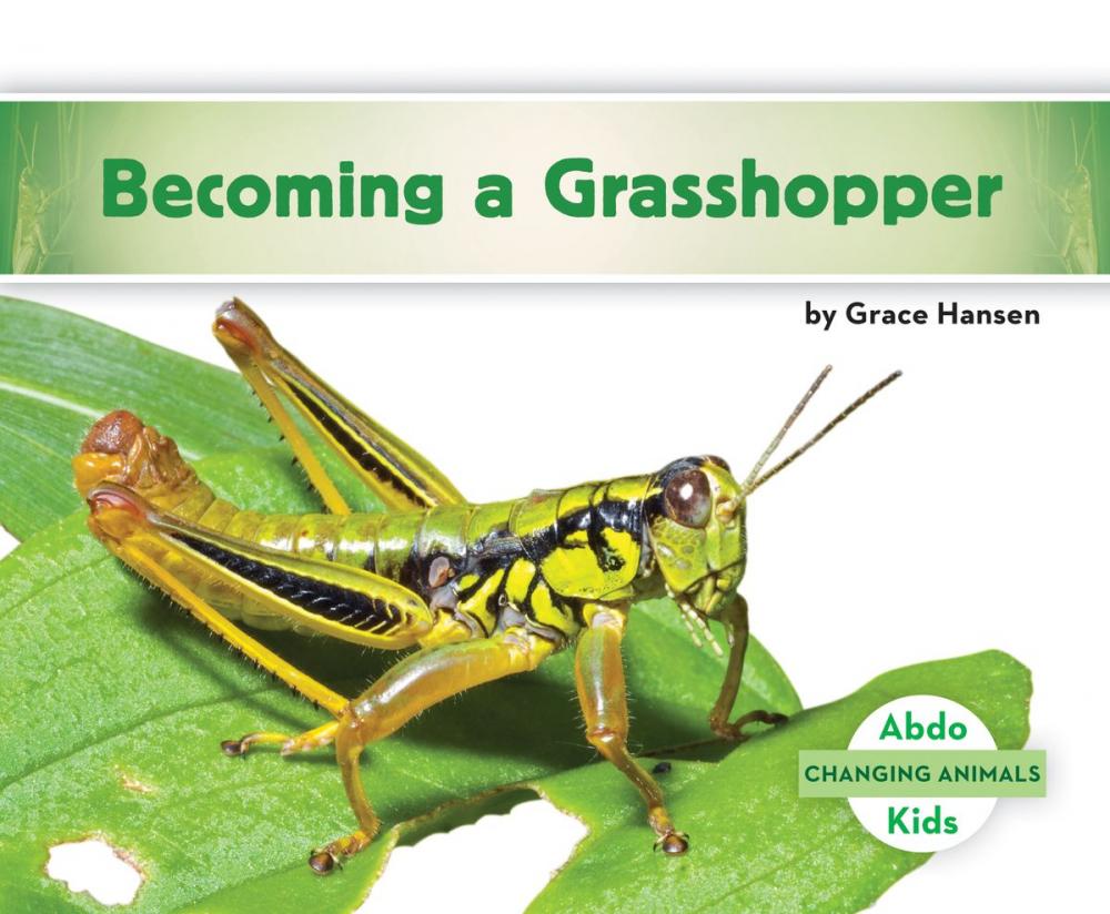 Big bigCover of Becoming a Grasshopper