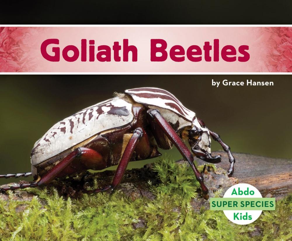 Big bigCover of Goliath Beetles