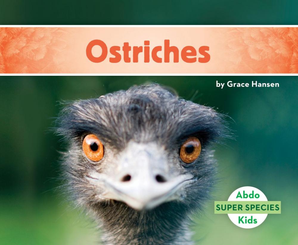 Big bigCover of Ostriches