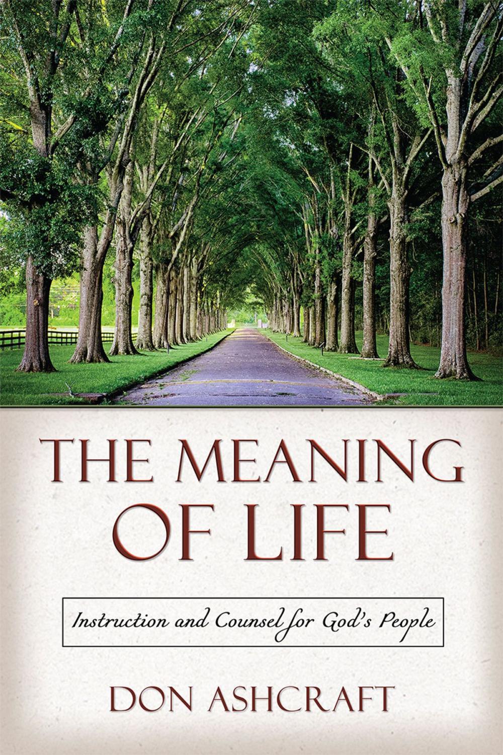 Big bigCover of The Meaning of Life