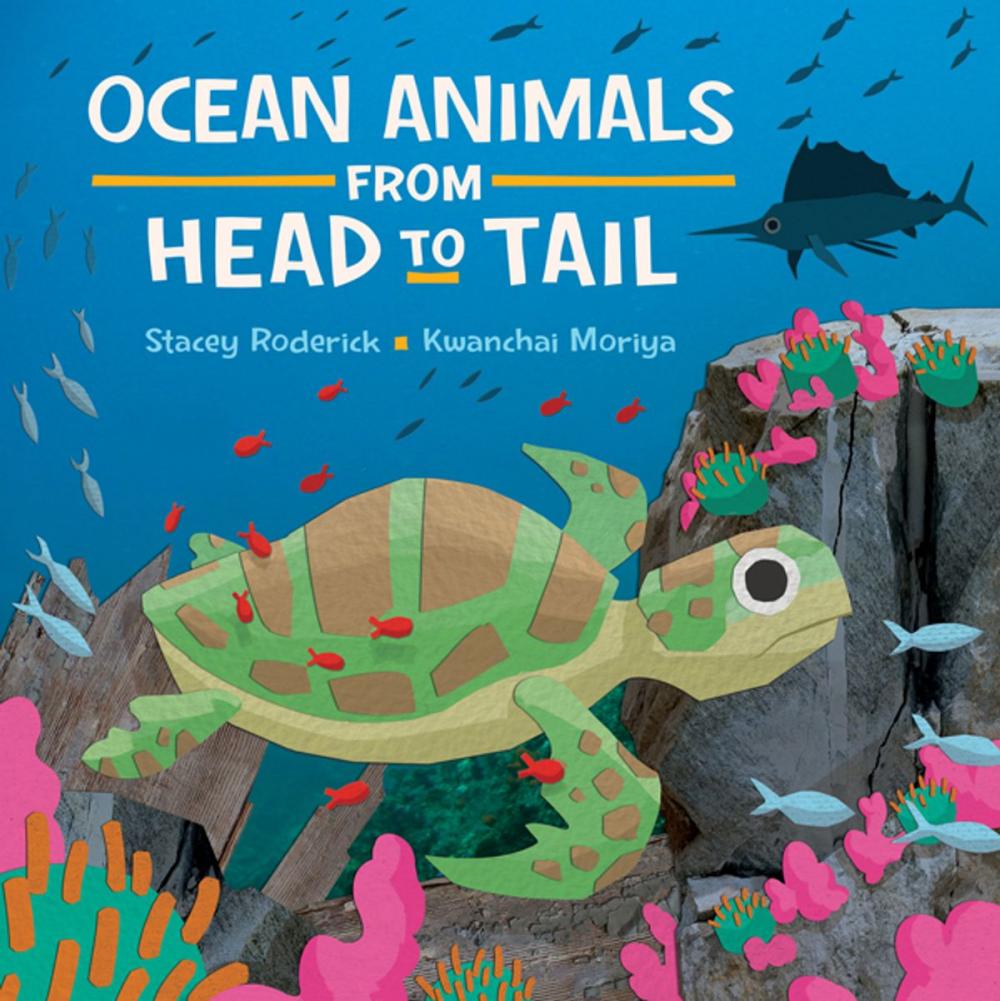 Big bigCover of Ocean Animals from Head to Tail