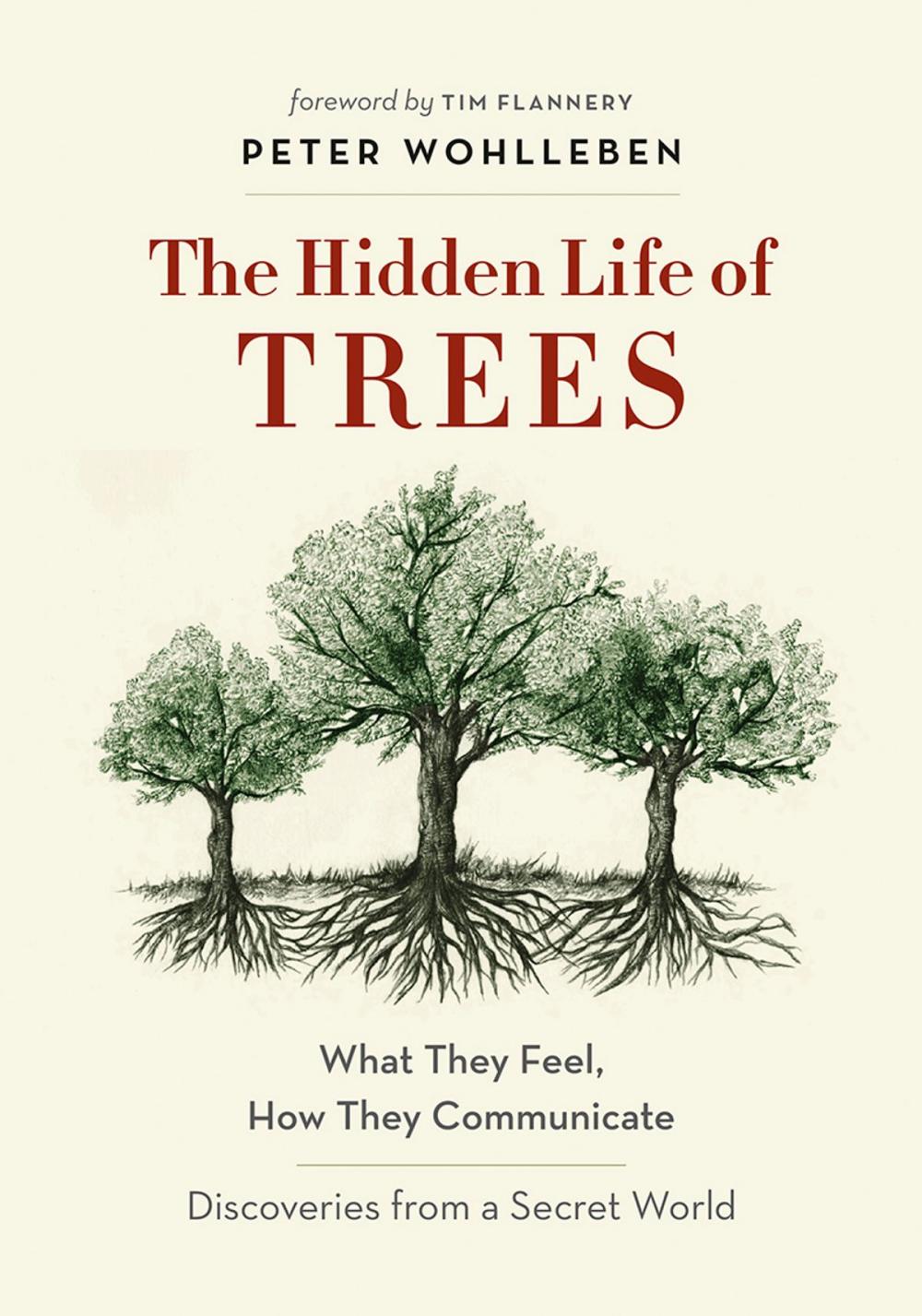 Big bigCover of The Hidden Life of Trees