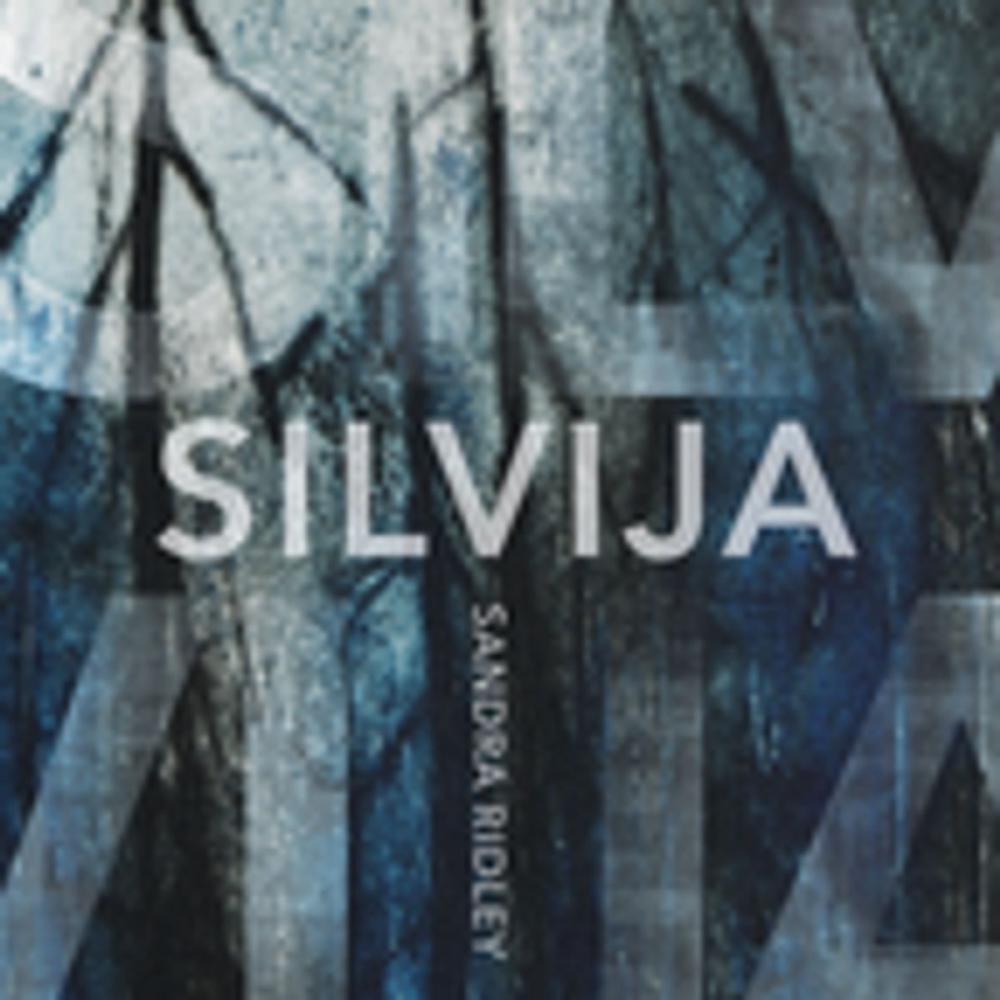 Big bigCover of Silvija