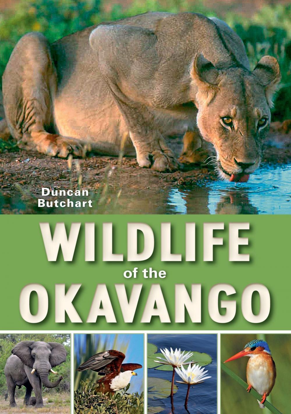 Big bigCover of Wildlife of the Okavango