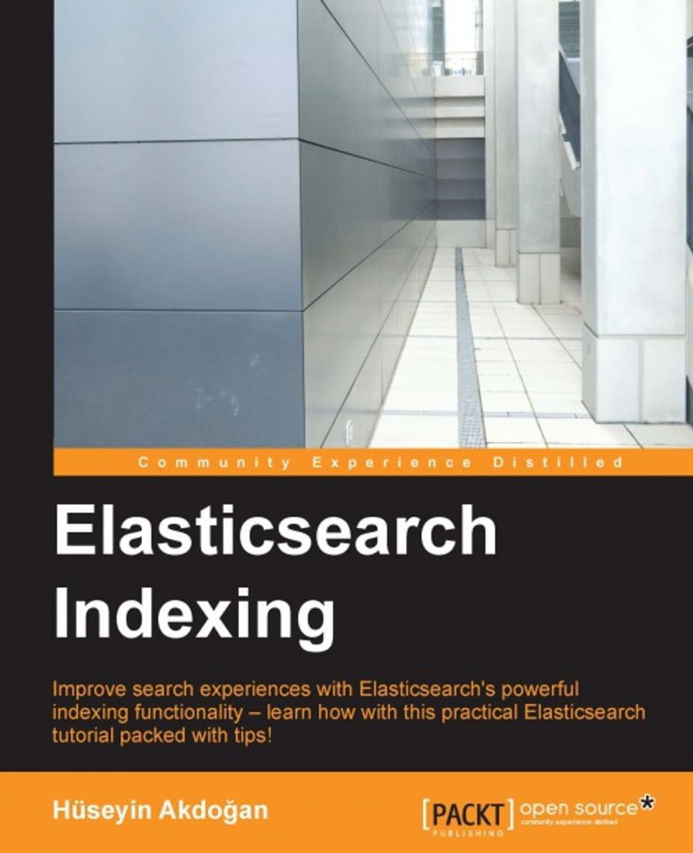 Big bigCover of Elasticsearch Indexing