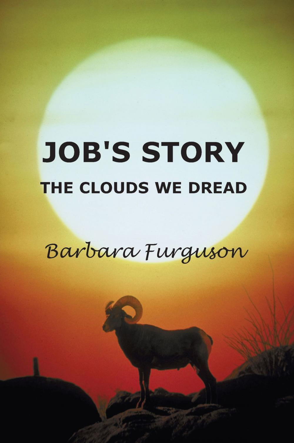 Big bigCover of Job's Story - The Clouds we Dread