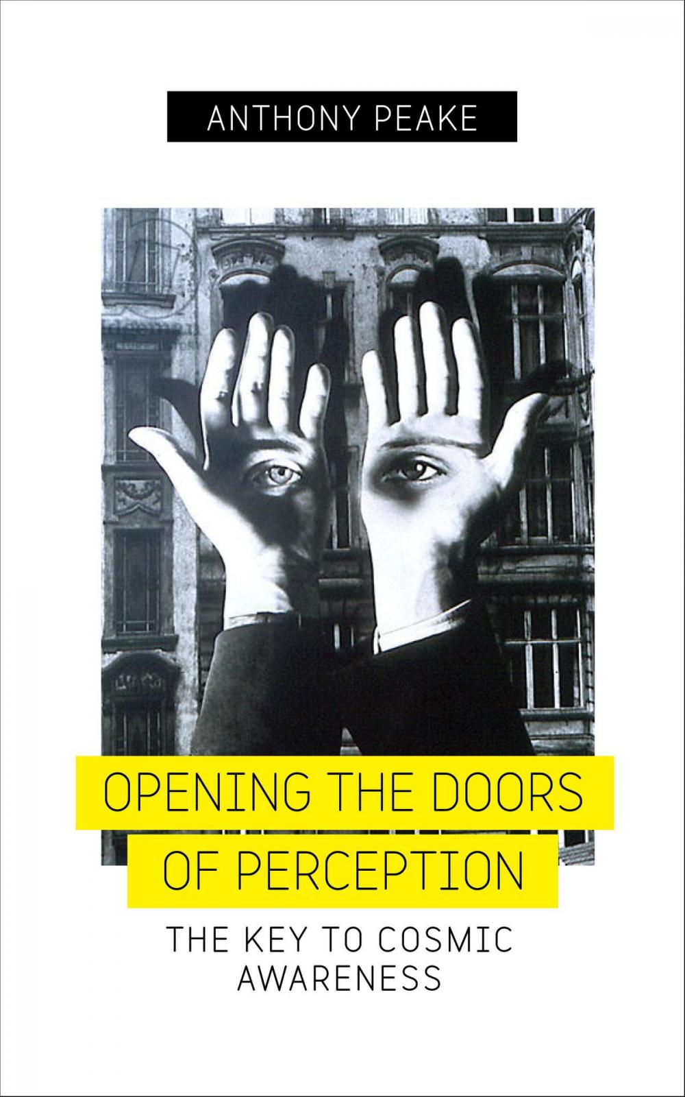 Big bigCover of Opening the Doors of Perception