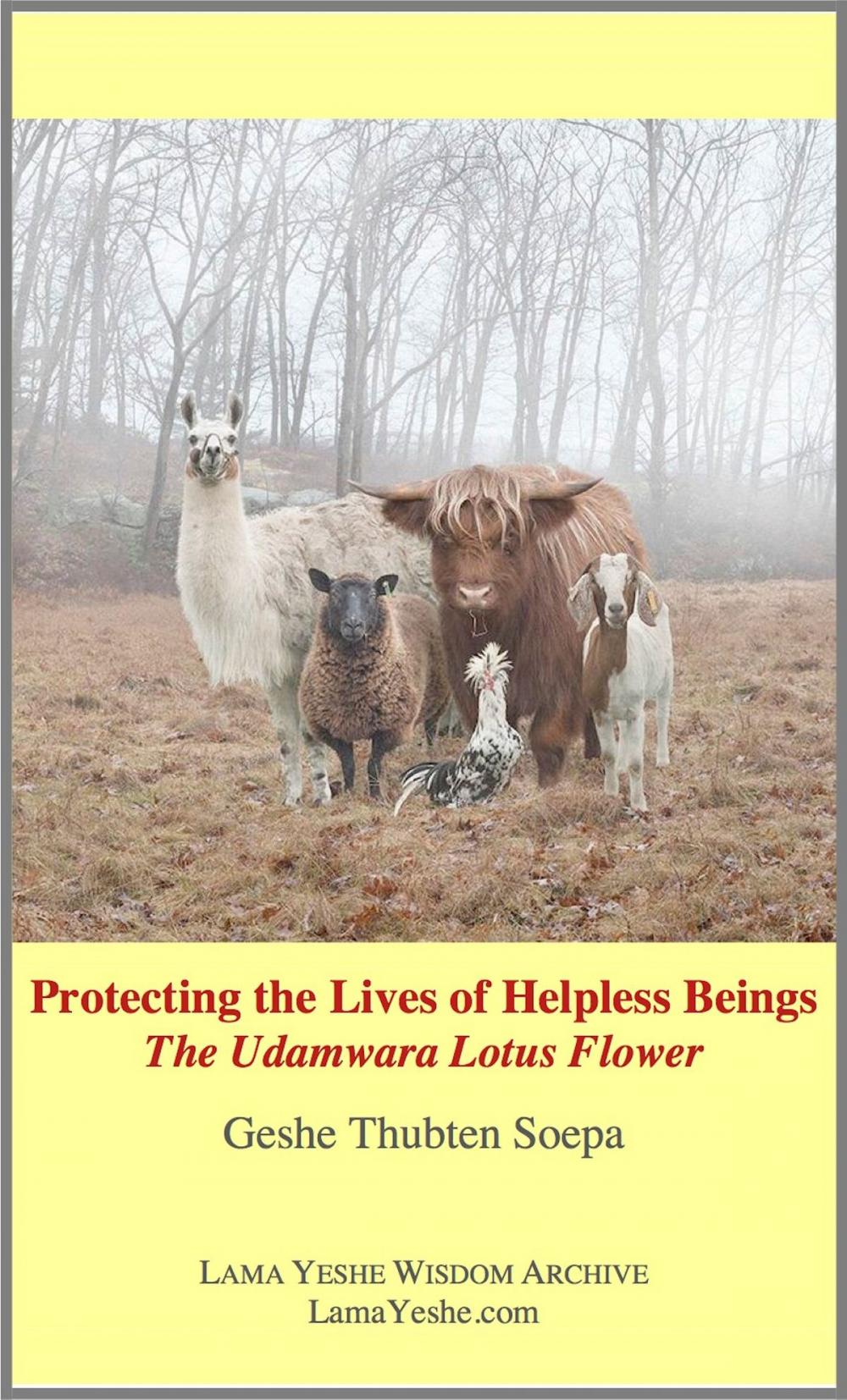 Big bigCover of Protecting the Lives of Helpless Beings: The Udamwara Lotus Flower