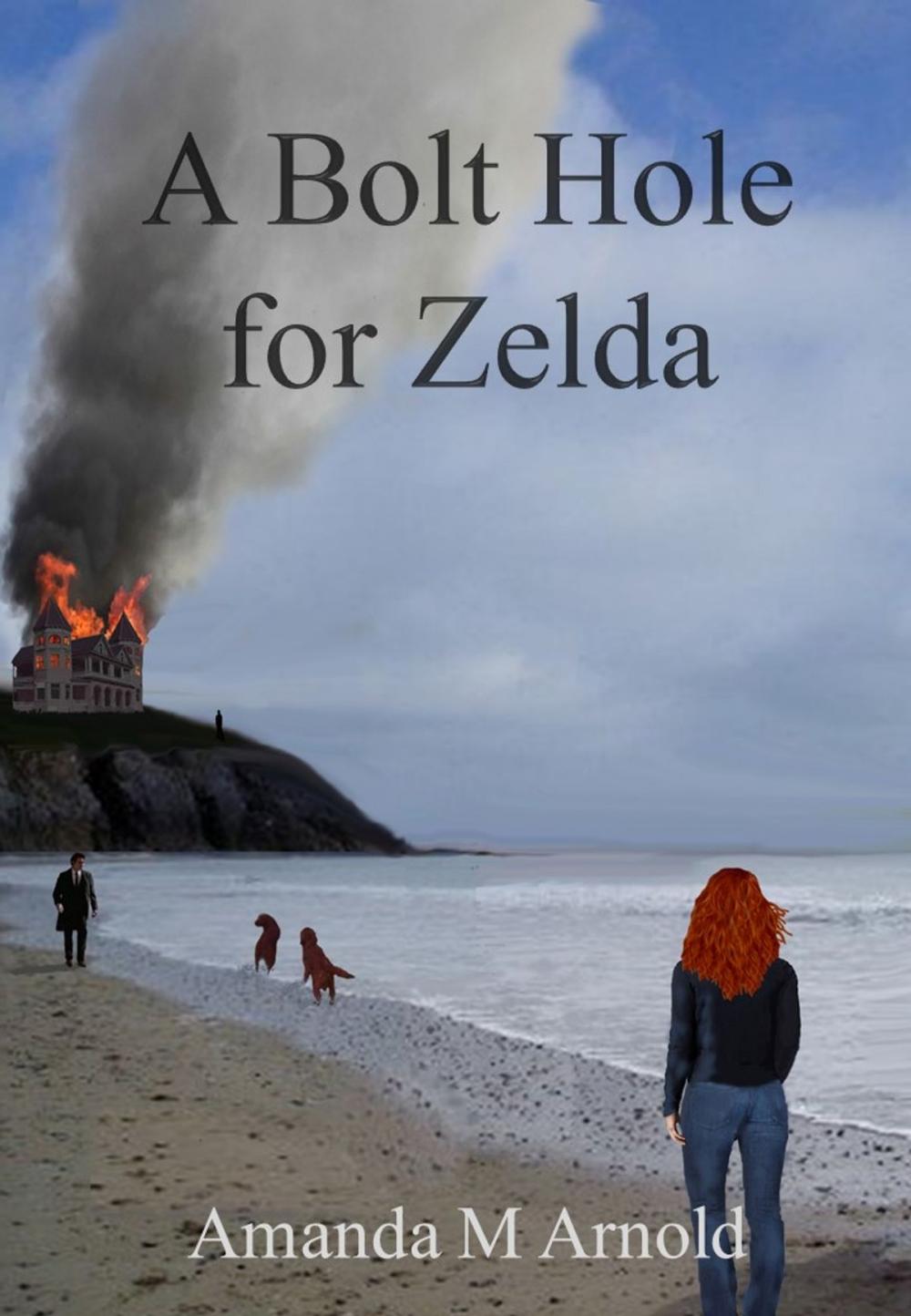 Big bigCover of A Bolt Hole for Zelda