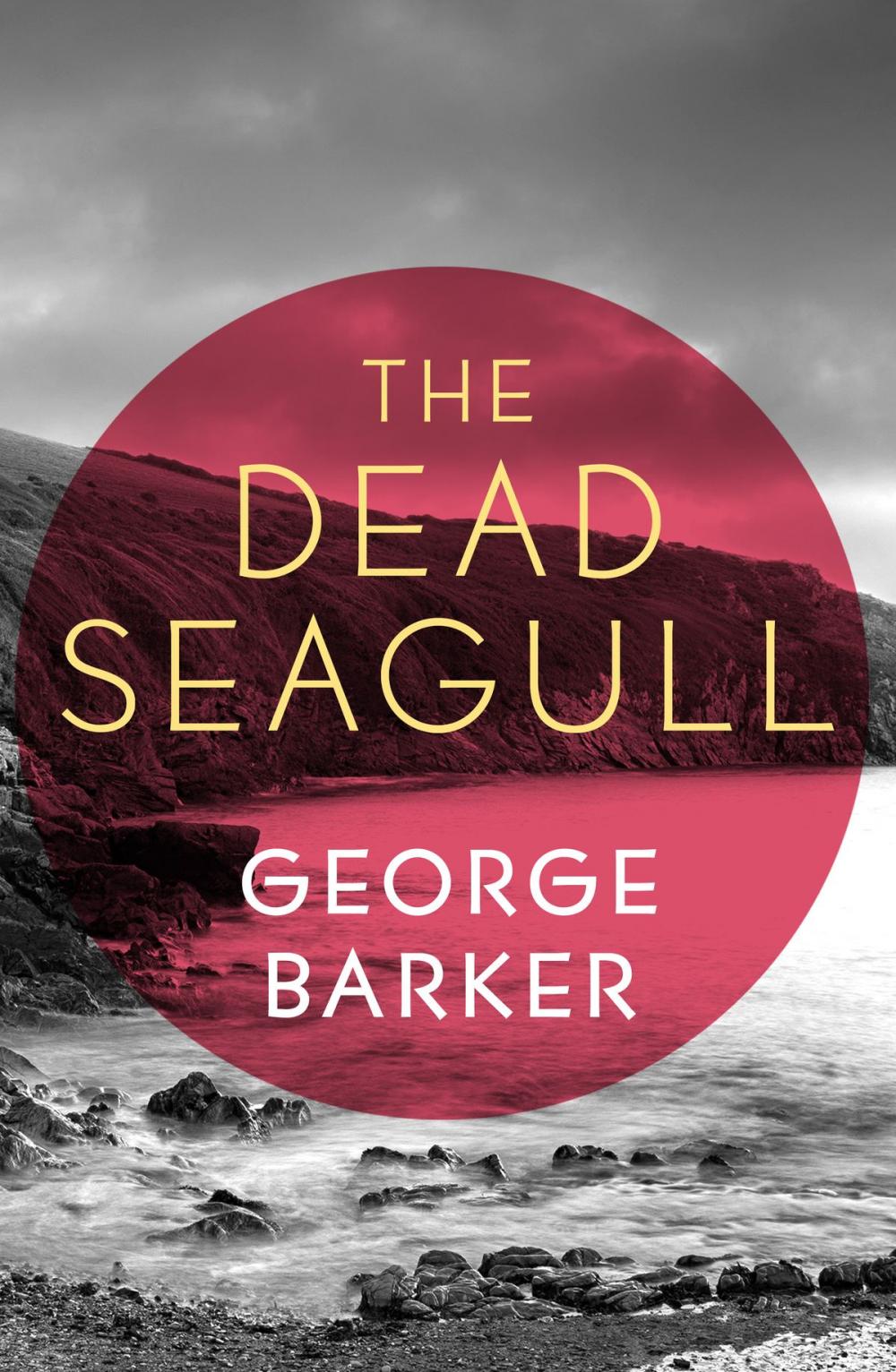 Big bigCover of The Dead Seagull