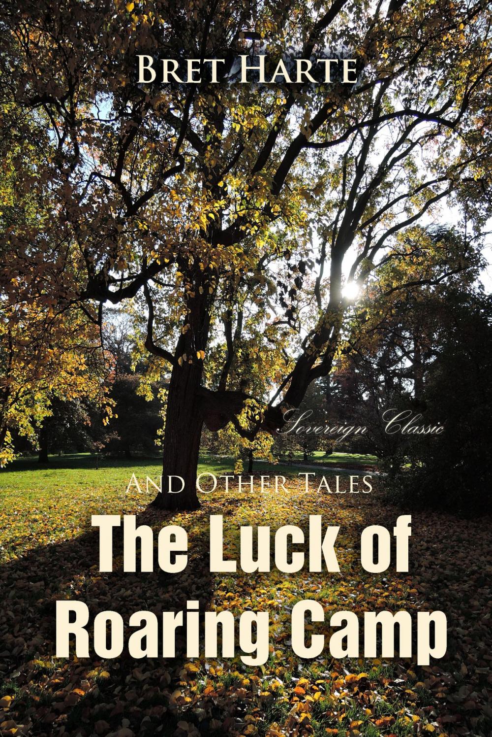 Big bigCover of The Luck of Roaring Camp and Other Tales