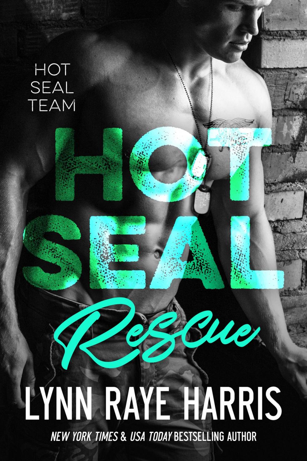 Big bigCover of HOT SEAL Rescue