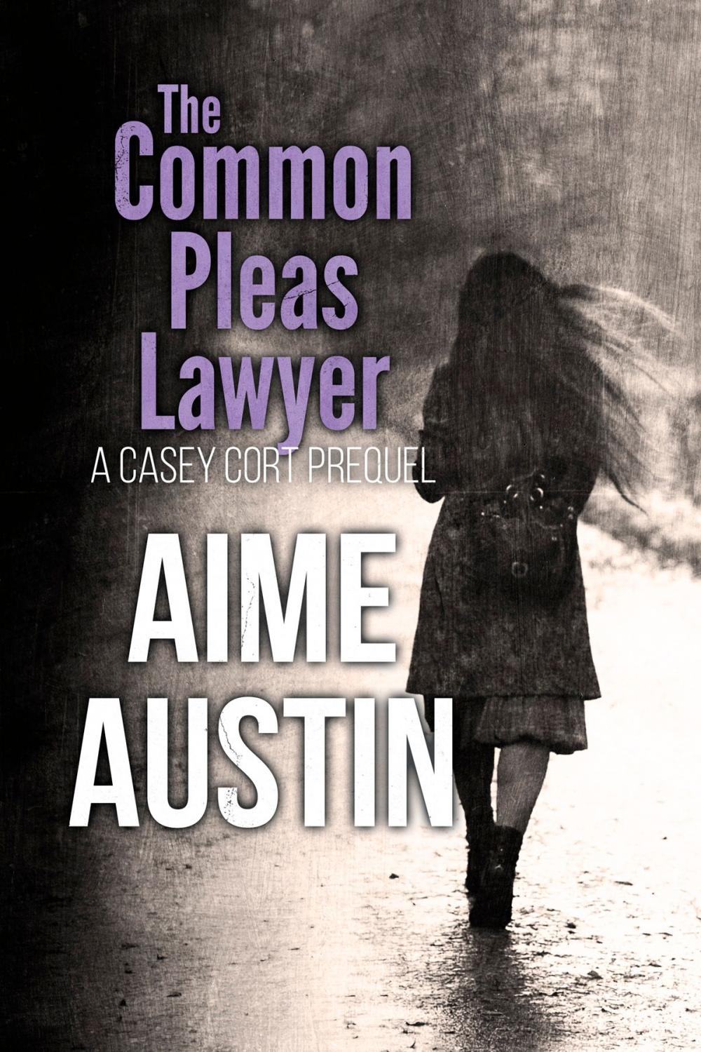 Big bigCover of The Common Pleas Lawyer