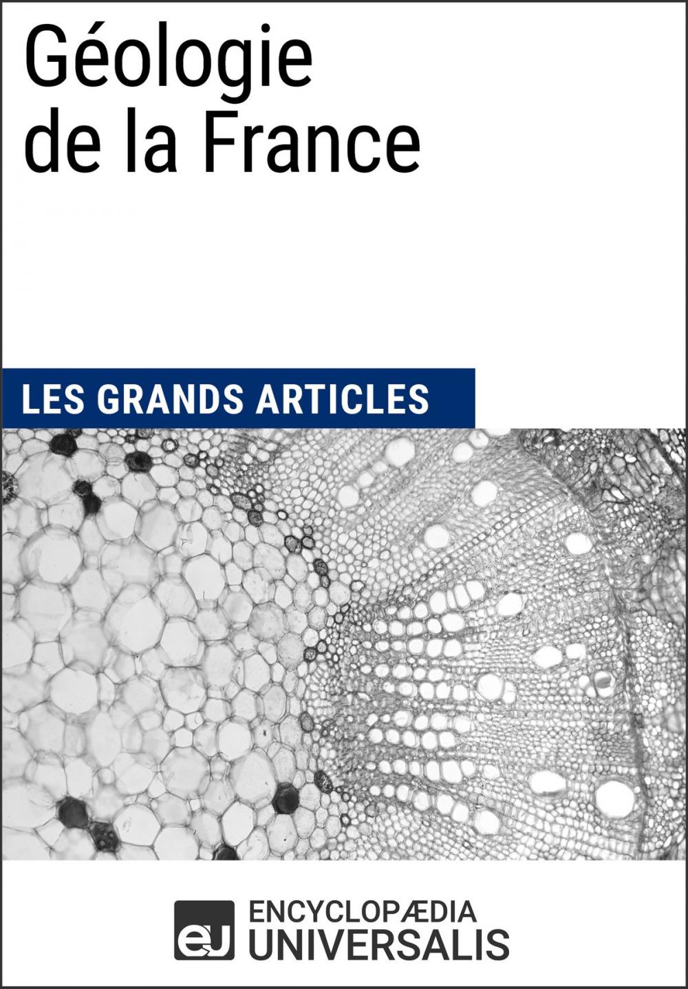 Big bigCover of Géologie de la France