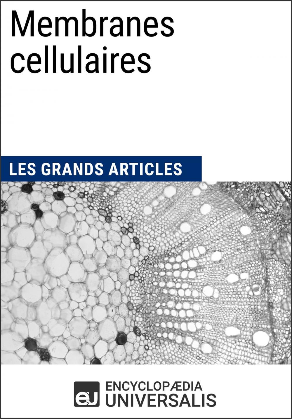 Big bigCover of Membranes cellulaires