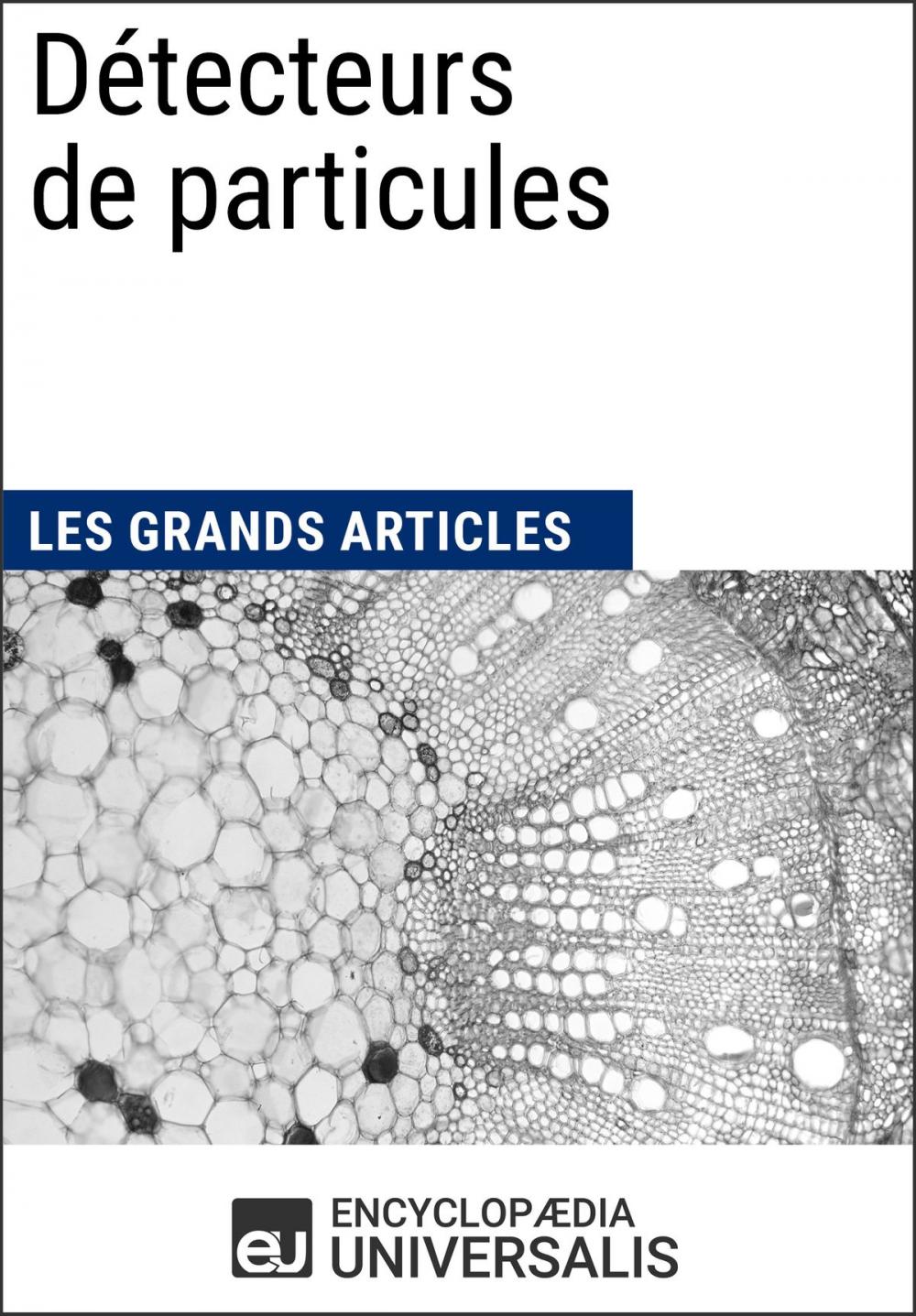 Big bigCover of Détecteurs de particules