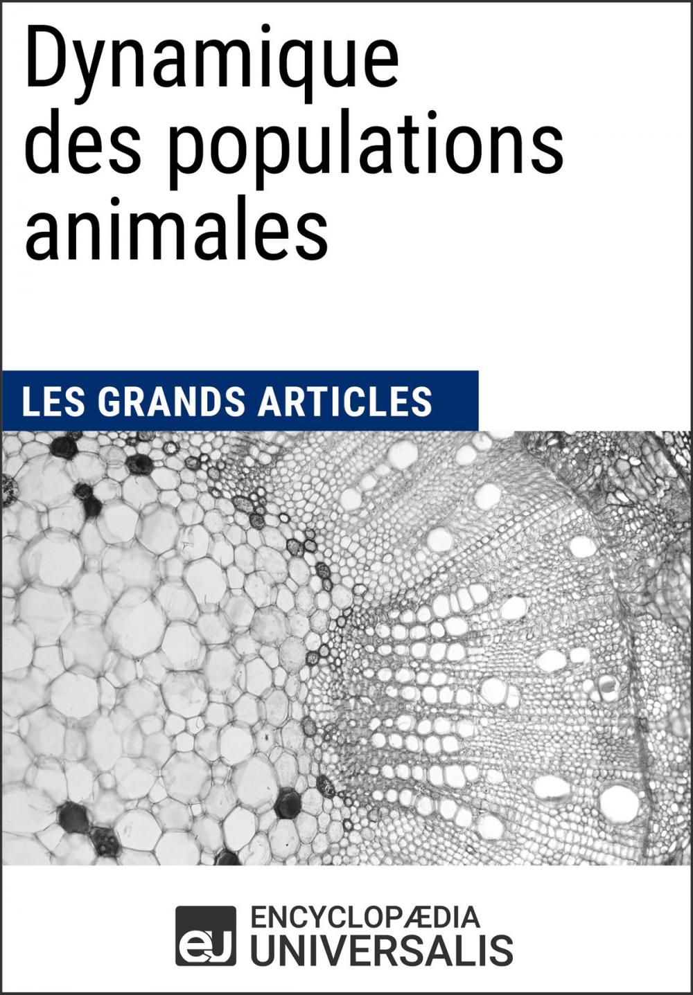 Big bigCover of Dynamique des populations animales