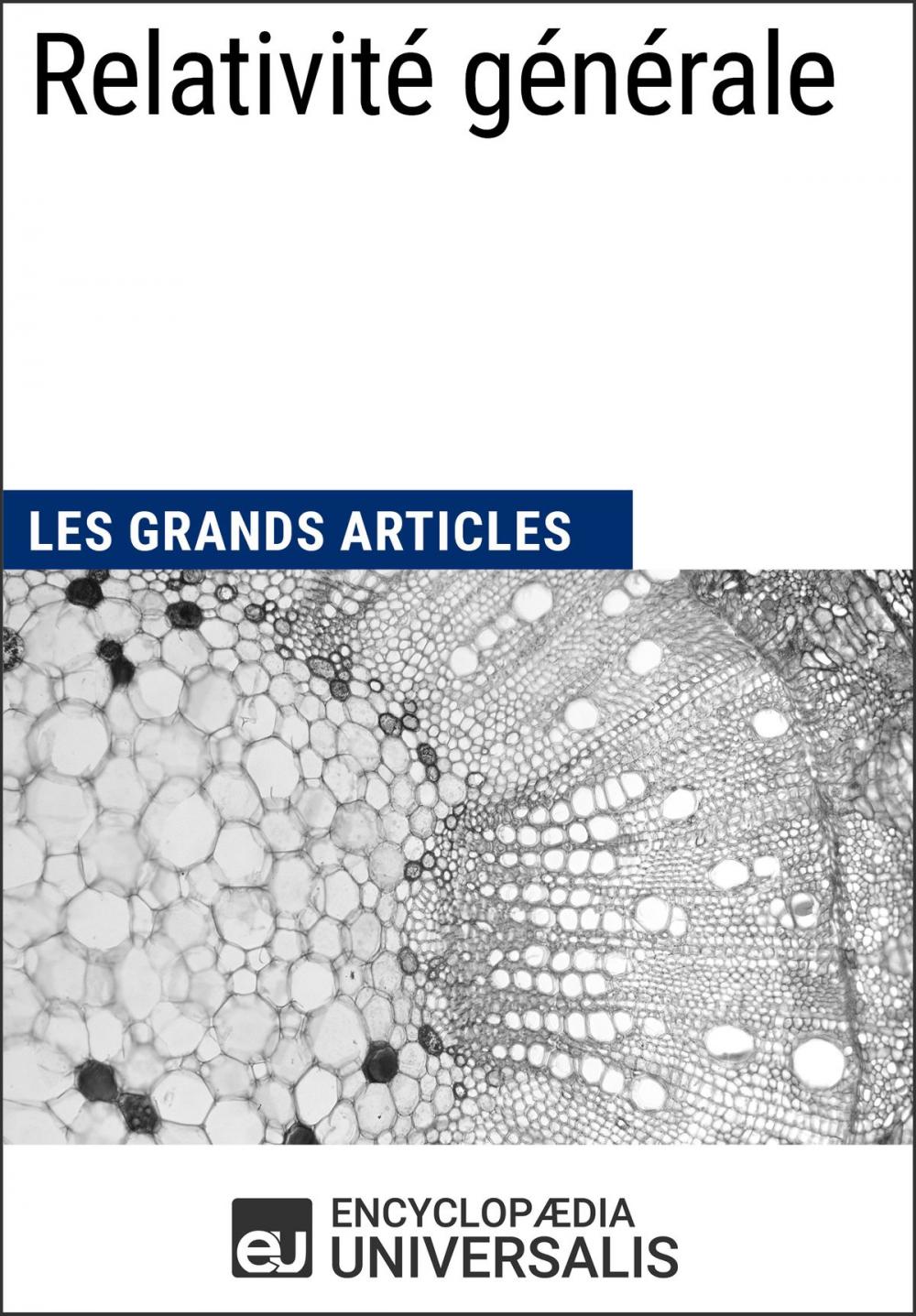 Big bigCover of Relativité générale