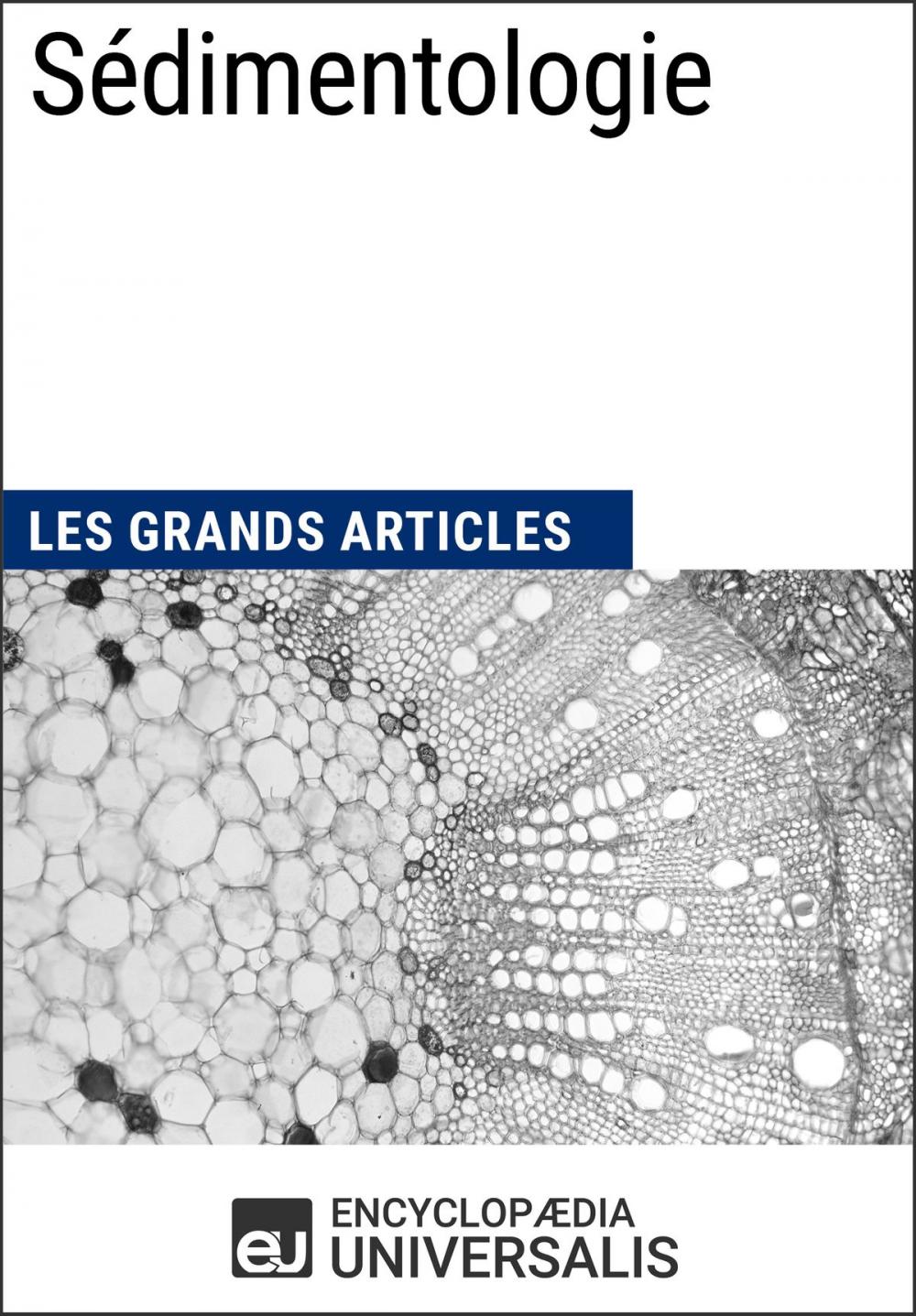 Big bigCover of Sédimentologie