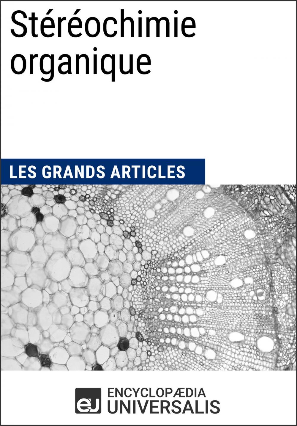 Big bigCover of Stéréochimie organique