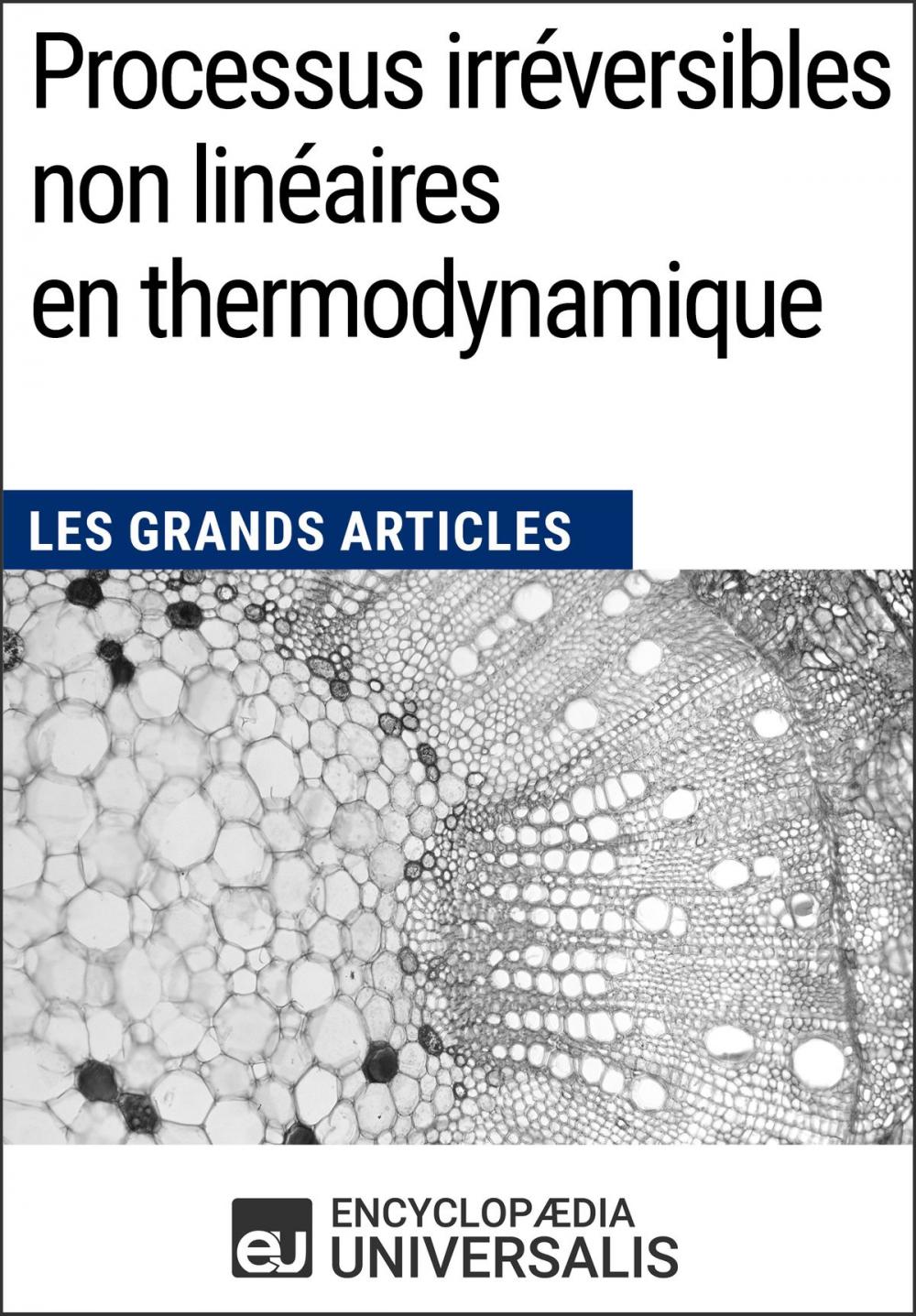 Big bigCover of Processus irréversibles non linéaires en thermodynamique