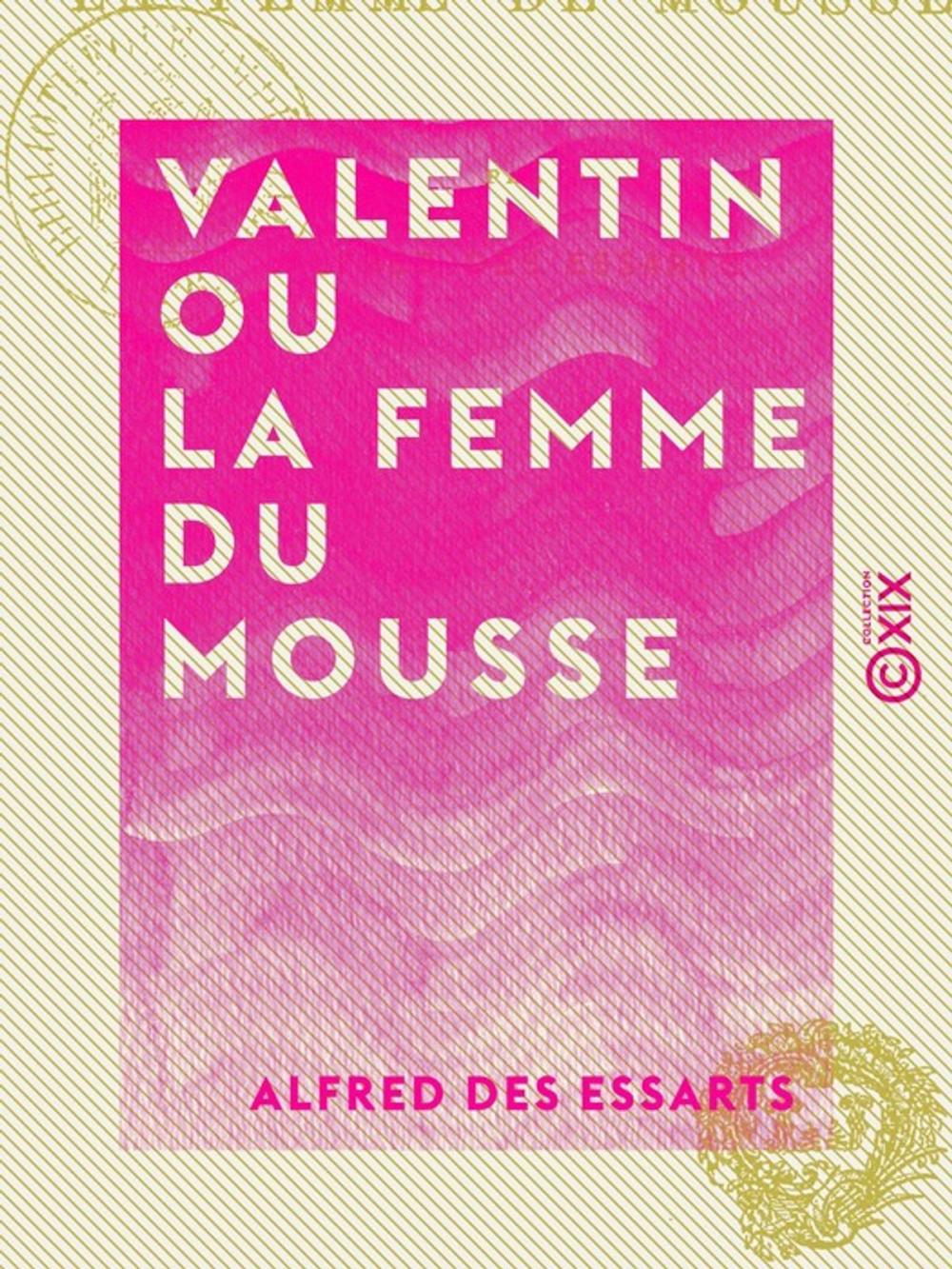 Big bigCover of Valentin ou la Femme du mousse