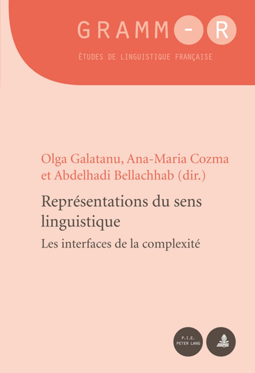 Big bigCover of Représentations du sens linguistique