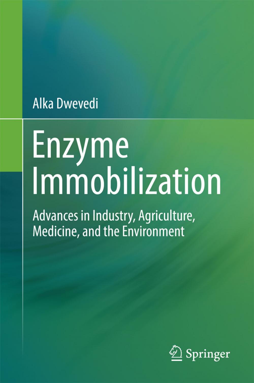 Big bigCover of Enzyme Immobilization