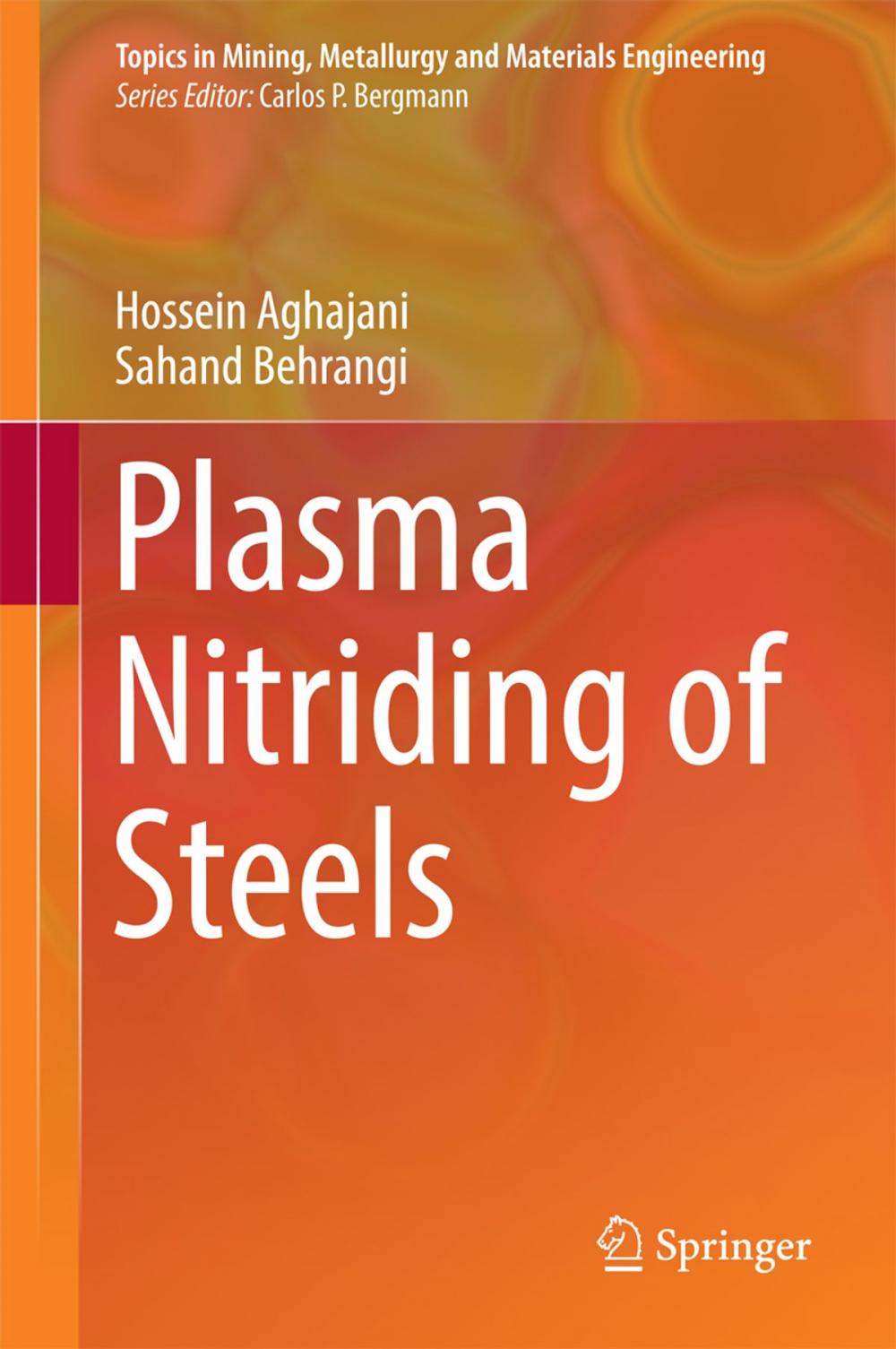 Big bigCover of Plasma Nitriding of Steels