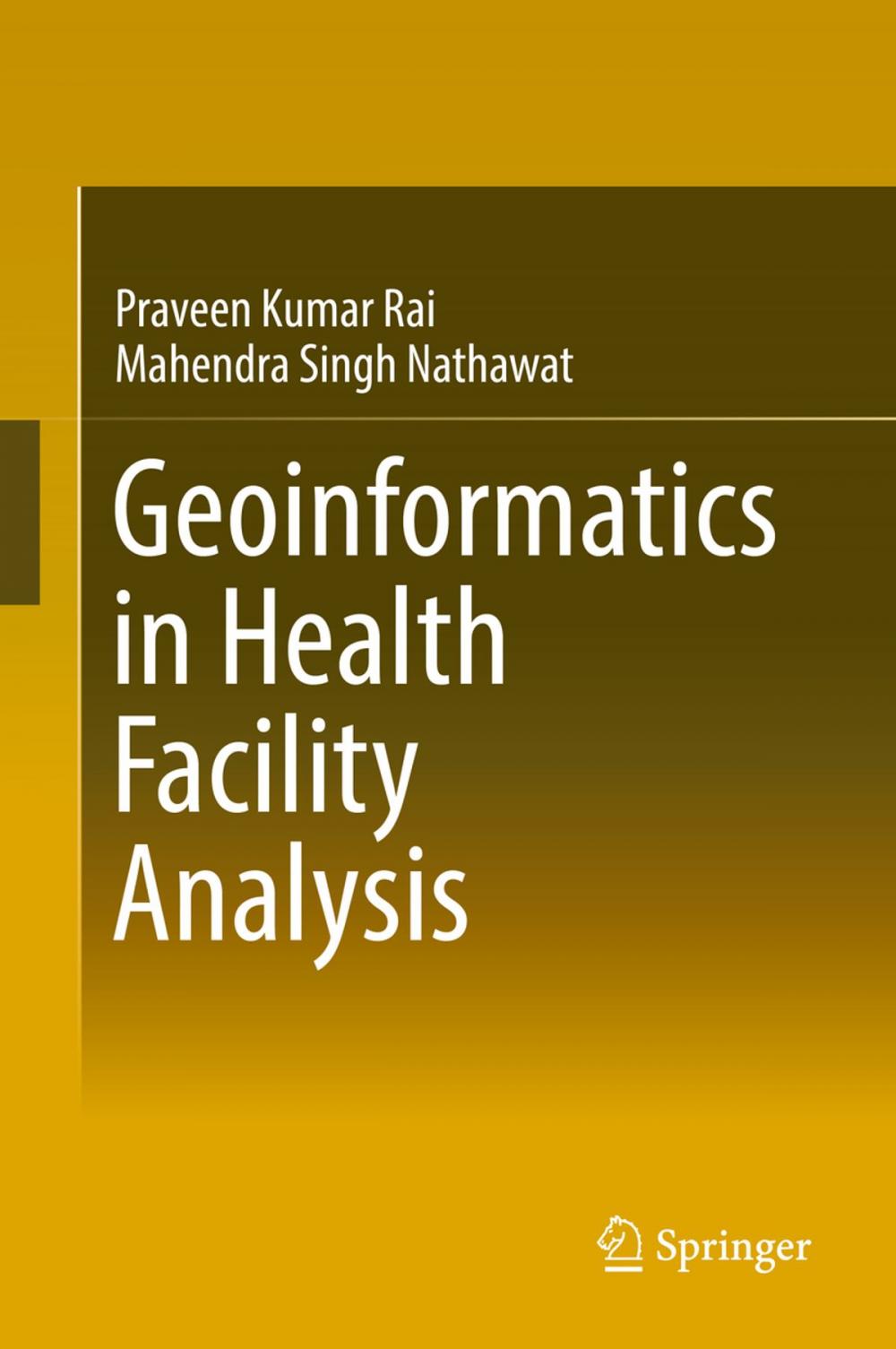 Big bigCover of Geoinformatics in Health Facility Analysis