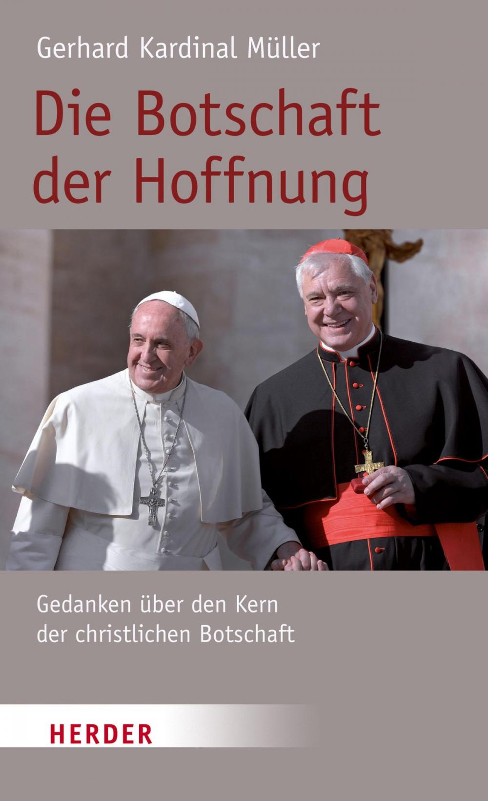 Big bigCover of Die Botschaft der Hoffnung