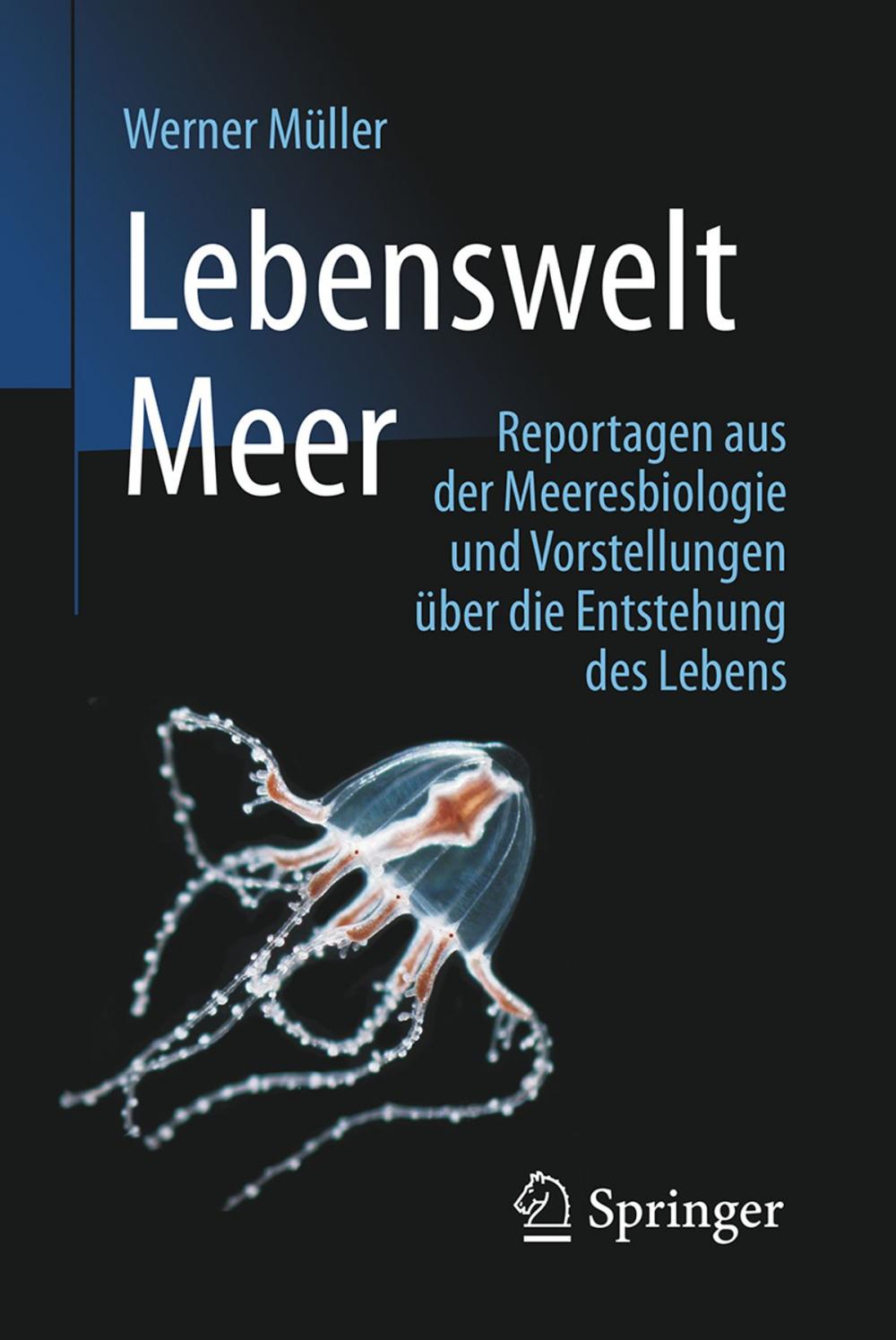 Big bigCover of Lebenswelt Meer