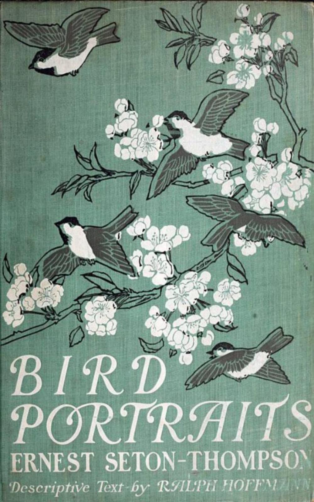 Big bigCover of Bird Portraits