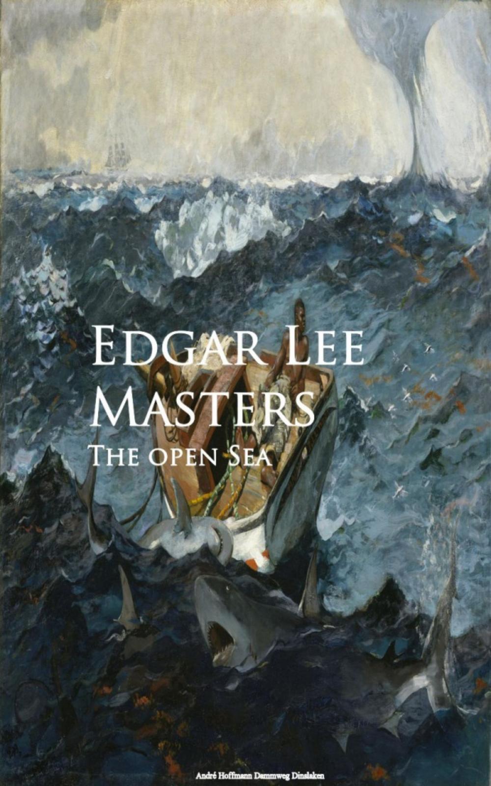 Big bigCover of The open Sea