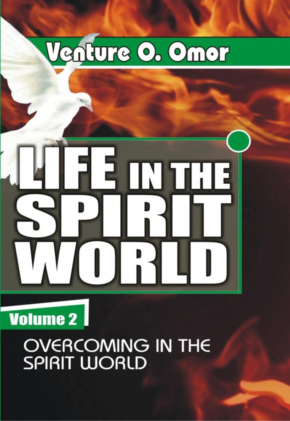 Big bigCover of Life In The Spirit Volume -2