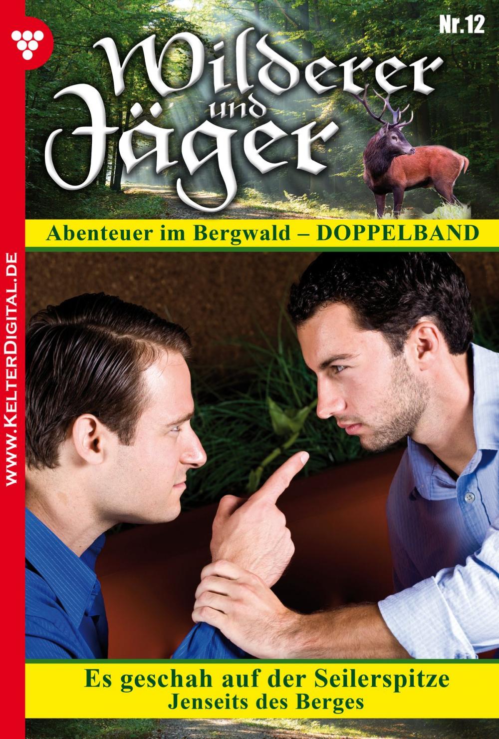 Big bigCover of Wilderer und Jäger 12 – Heimatroman